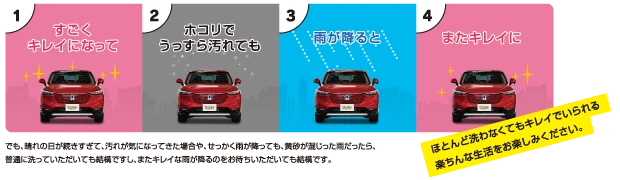 汚れても雨が降ればまたキレイに